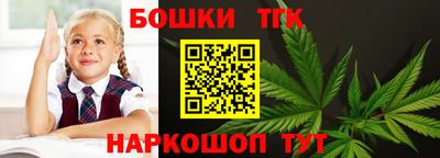 молекула духа Пенза