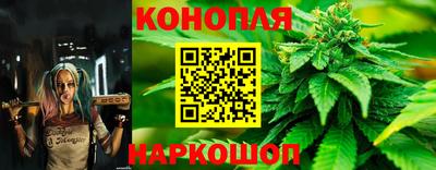 молекула духа Пенза