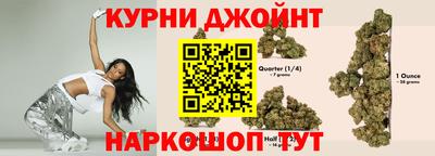 молекула духа Пенза