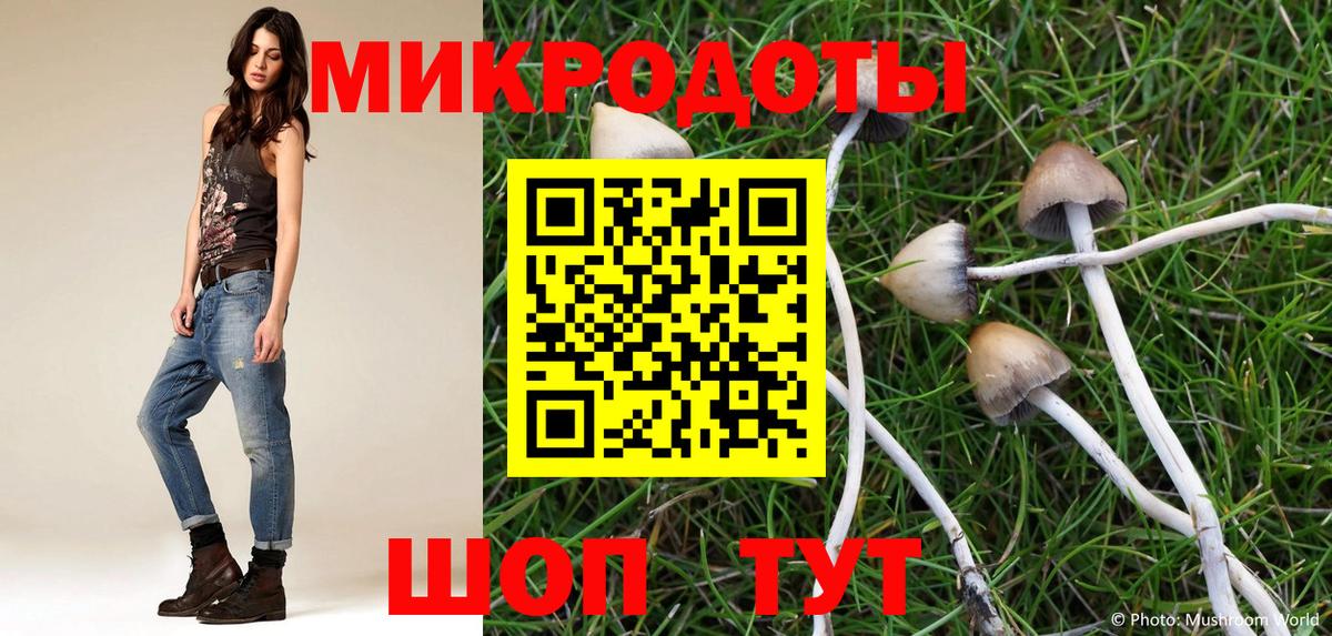 Галлюциногенные грибы Psilocybe  Галлюциногенные грибы Magic Shrooms  Вход с VPN  Нягань 
